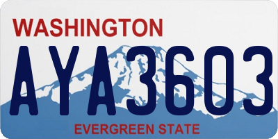 WA license plate AYA3603