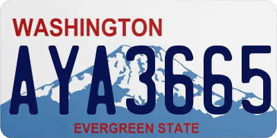 WA license plate AYA3665