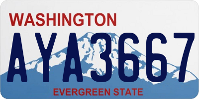 WA license plate AYA3667