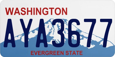 WA license plate AYA3677