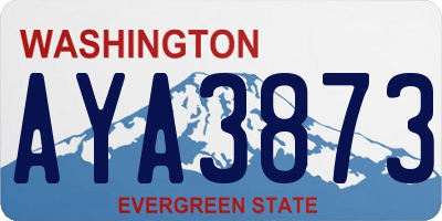 WA license plate AYA3873