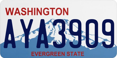 WA license plate AYA3909