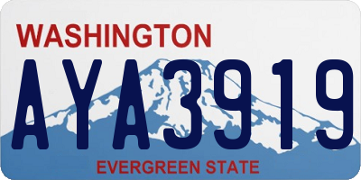 WA license plate AYA3919