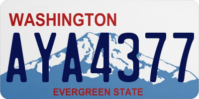 WA license plate AYA4377