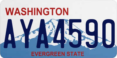 WA license plate AYA4590