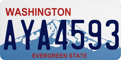 WA license plate AYA4593