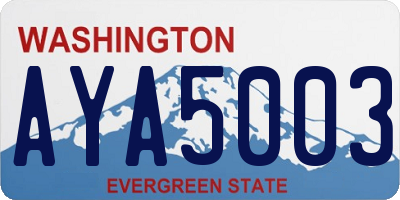 WA license plate AYA5003