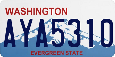 WA license plate AYA5310