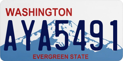 WA license plate AYA5491