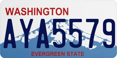 WA license plate AYA5579