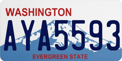 WA license plate AYA5593