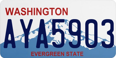 WA license plate AYA5903