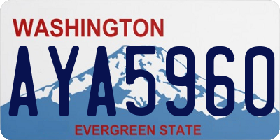 WA license plate AYA5960