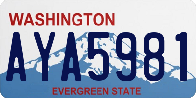 WA license plate AYA5981