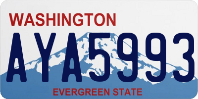WA license plate AYA5993
