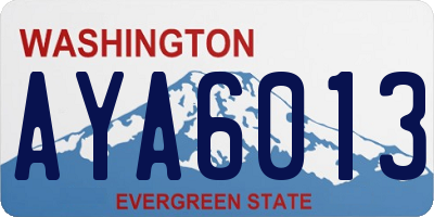 WA license plate AYA6013