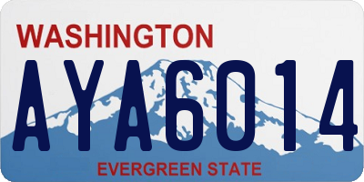 WA license plate AYA6014