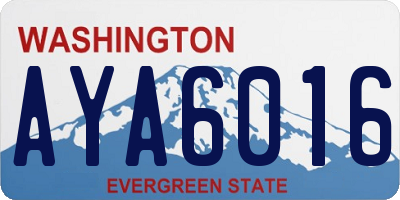 WA license plate AYA6016