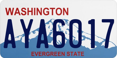 WA license plate AYA6017