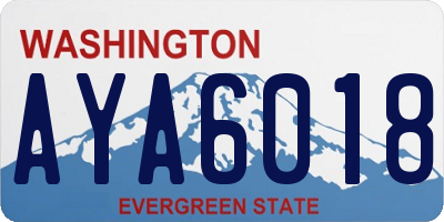 WA license plate AYA6018