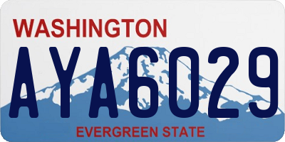 WA license plate AYA6029