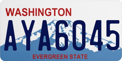 WA license plate AYA6045