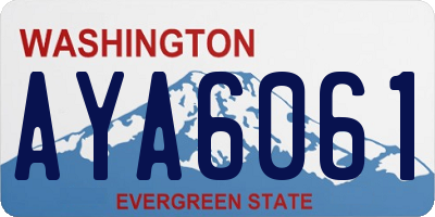 WA license plate AYA6061