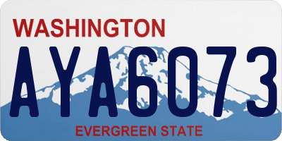 WA license plate AYA6073