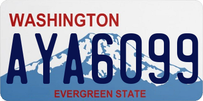 WA license plate AYA6099