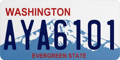 WA license plate AYA6101