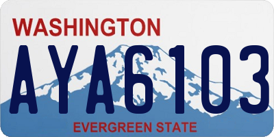 WA license plate AYA6103