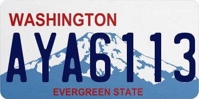 WA license plate AYA6113