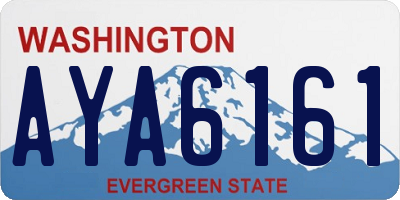 WA license plate AYA6161