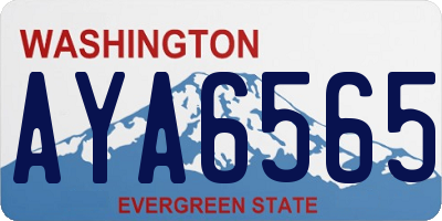 WA license plate AYA6565