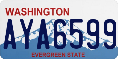 WA license plate AYA6599