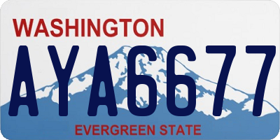 WA license plate AYA6677