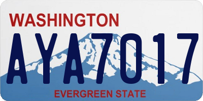 WA license plate AYA7017
