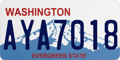 WA license plate AYA7018