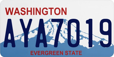 WA license plate AYA7019