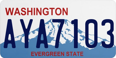 WA license plate AYA7103