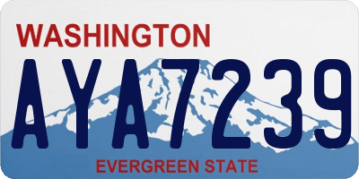 WA license plate AYA7239