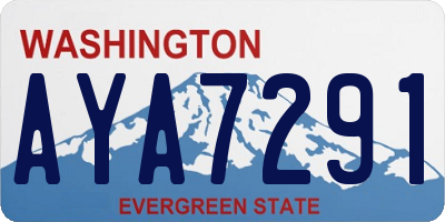 WA license plate AYA7291