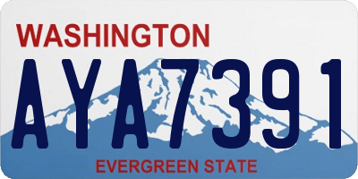 WA license plate AYA7391