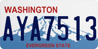 WA license plate AYA7513