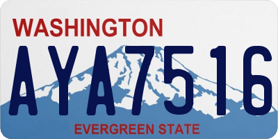 WA license plate AYA7516