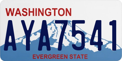 WA license plate AYA7541