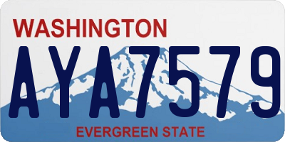WA license plate AYA7579