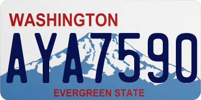 WA license plate AYA7590