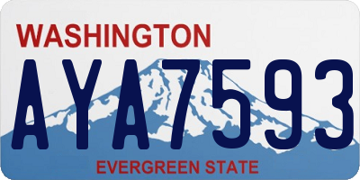 WA license plate AYA7593