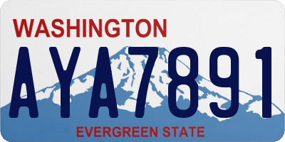WA license plate AYA7891